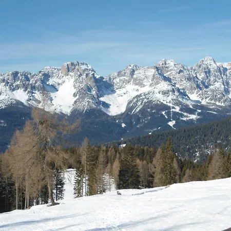 Patrizia Apartment San Pietro di Cadore