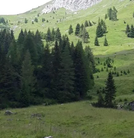 Patrizia