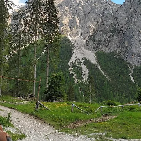 Patrizia * San Pietro di Cadore